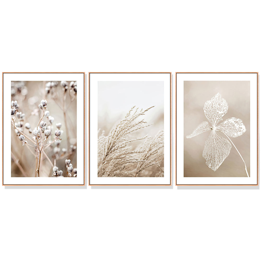 The Serenity Of Nature Wood Frame Canvas Set Of 3 60cmx90cm