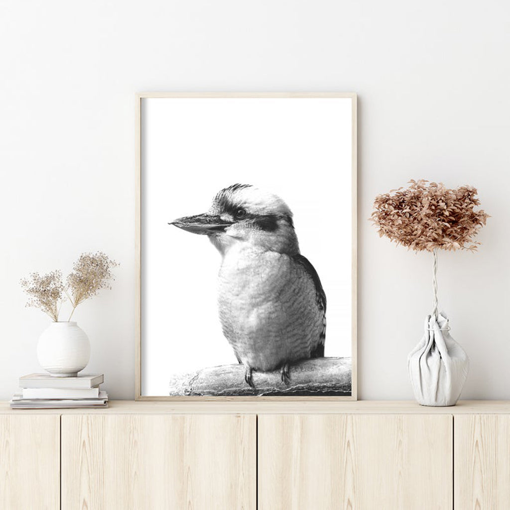 Australia's Kookaburra Black Framed Canvas 90cmx135cm