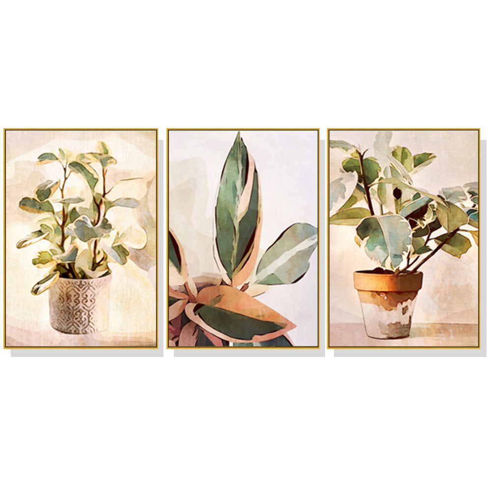 Green Thumb Set Of 3 Gold Frame Canvas 70cmx100cm