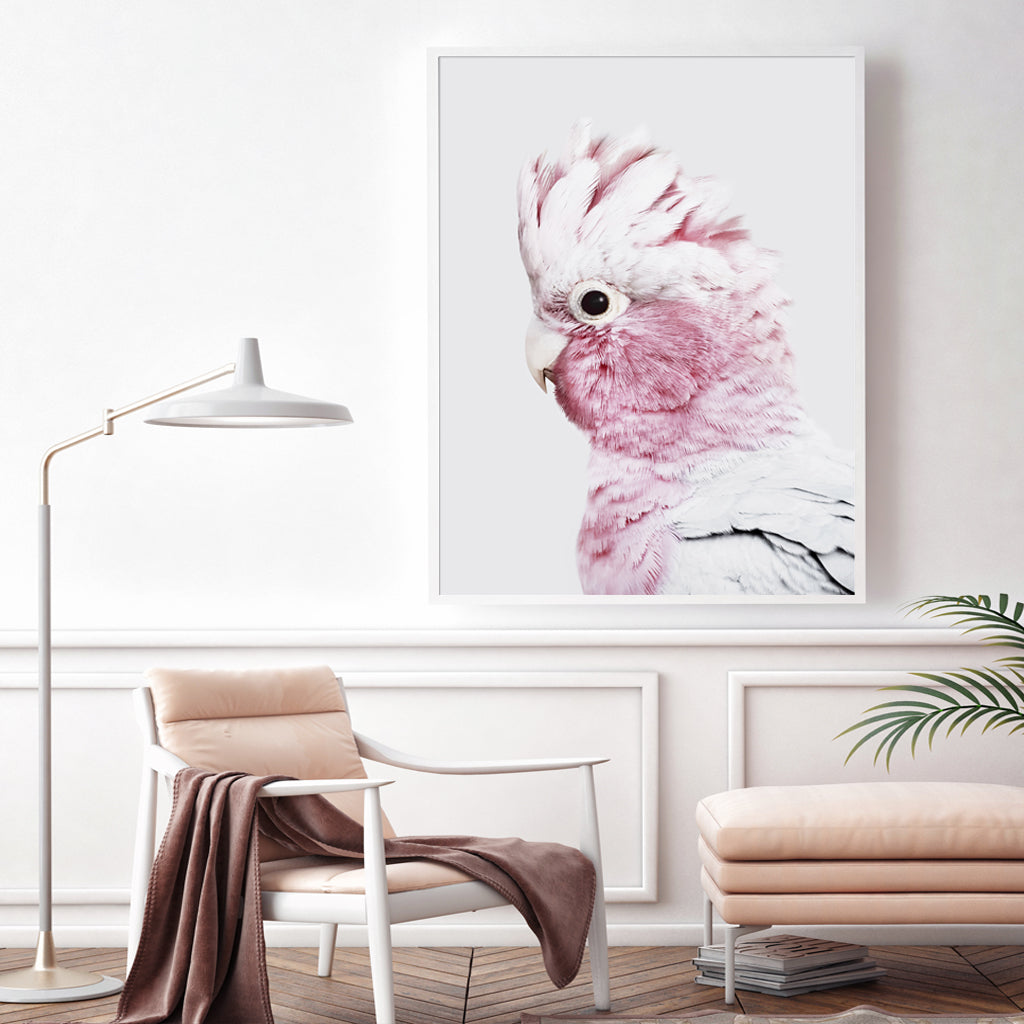 'Eolophus roseicapilla' White Framed Canvas 90cmx135cm