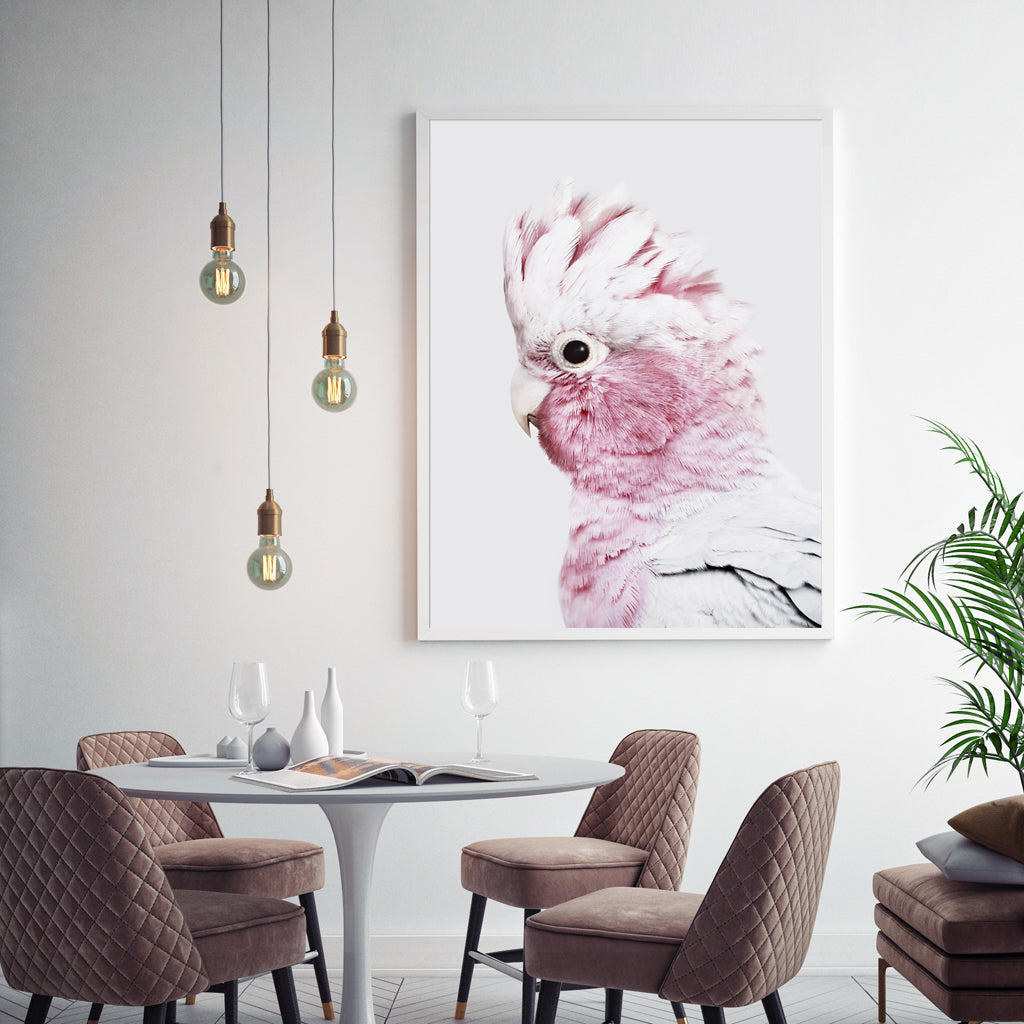 'Eolophus roseicapilla' White Framed Canvas 90cmx135cm