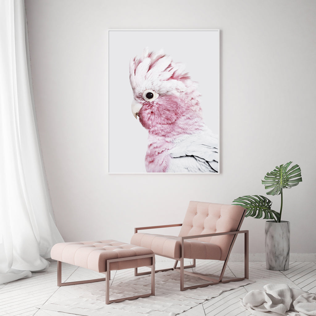 'Eolophus roseicapilla' White Framed Canvas 90cmx135cm