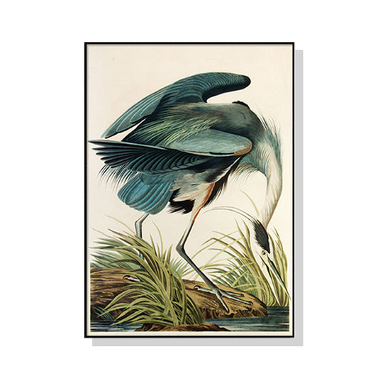 Artist Series - John James Audubon Black Framed Canvas 70cmx100cm