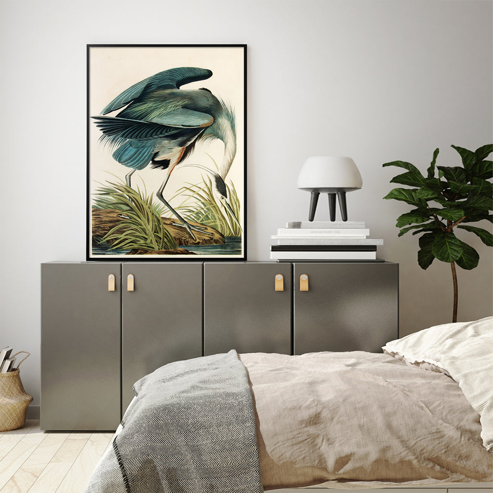 Artist Series - John James Audubon Black Framed Canvas 70cmx100cm