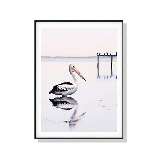 His Beak Holds More Than His Belly-can Black Framed Canvas 100cmx150cm