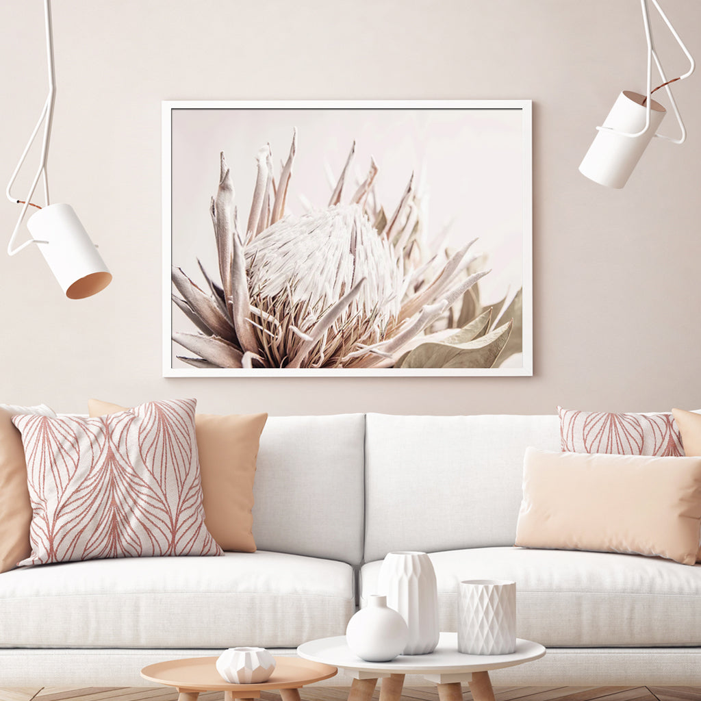 Perfect Protea II White Framed Canvas 90cmx135cm