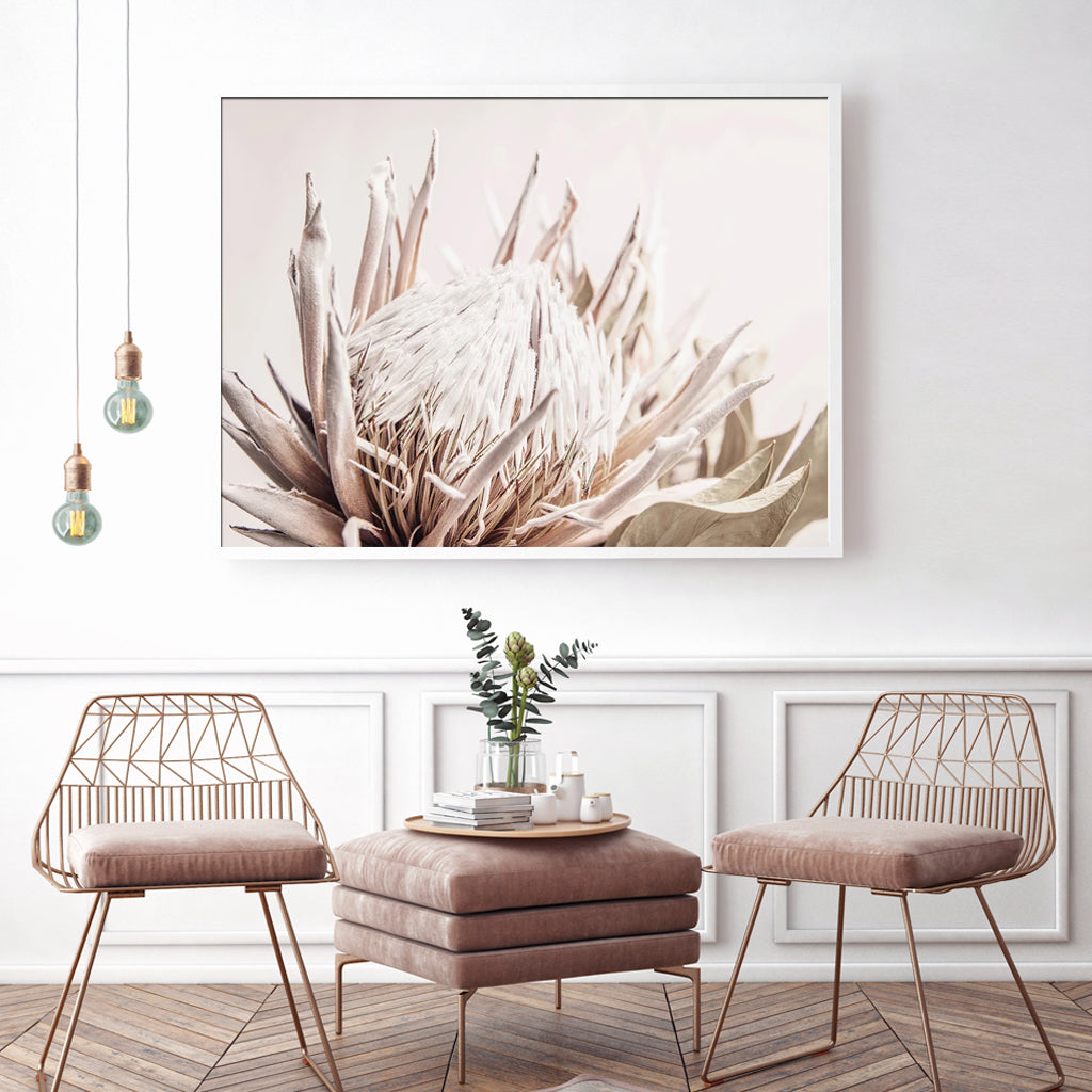 Perfect Protea II White Framed Canvas 90cmx135cm