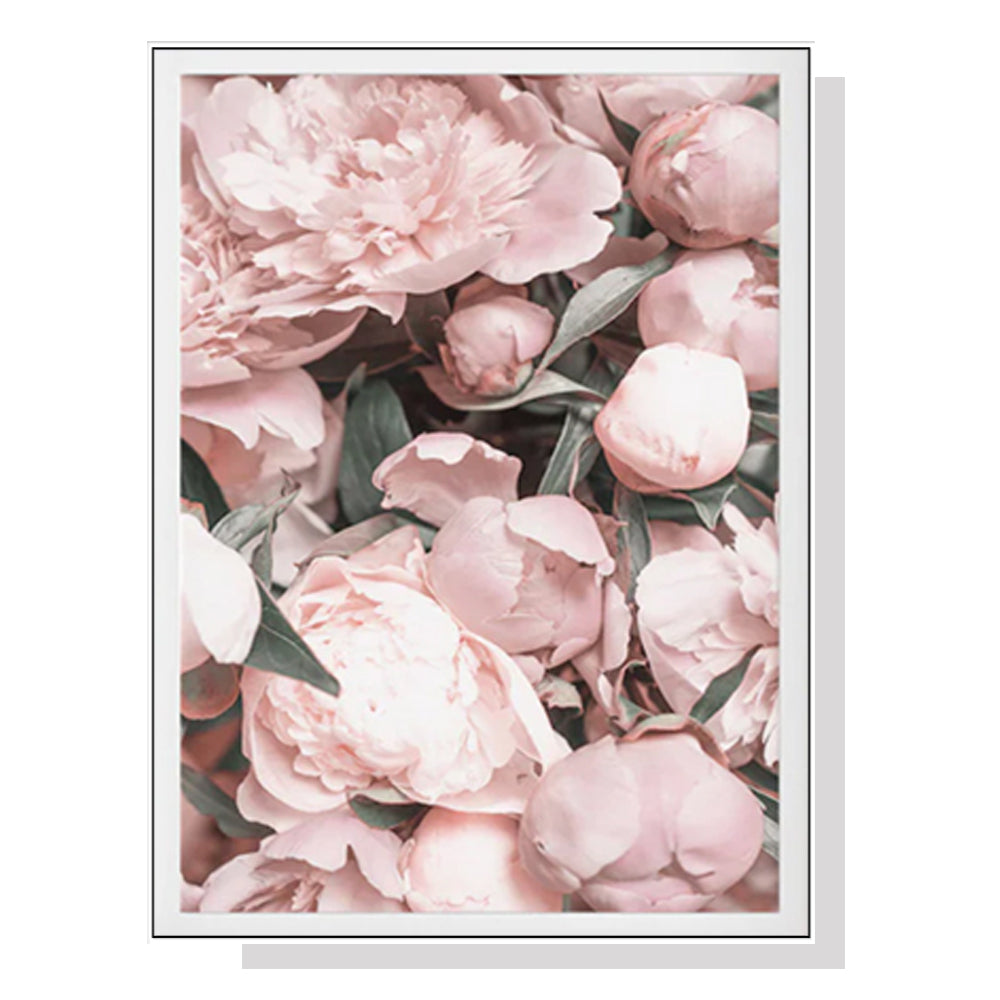 Pentecost Rose White Framed Canvas 90cmx135cm