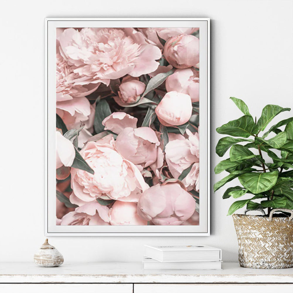 Pentecost Rose White Framed Canvas 90cmx135cm