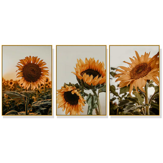 'Helios Annus' Set Of 3 Gold Framed Canvas 70cmx100cm