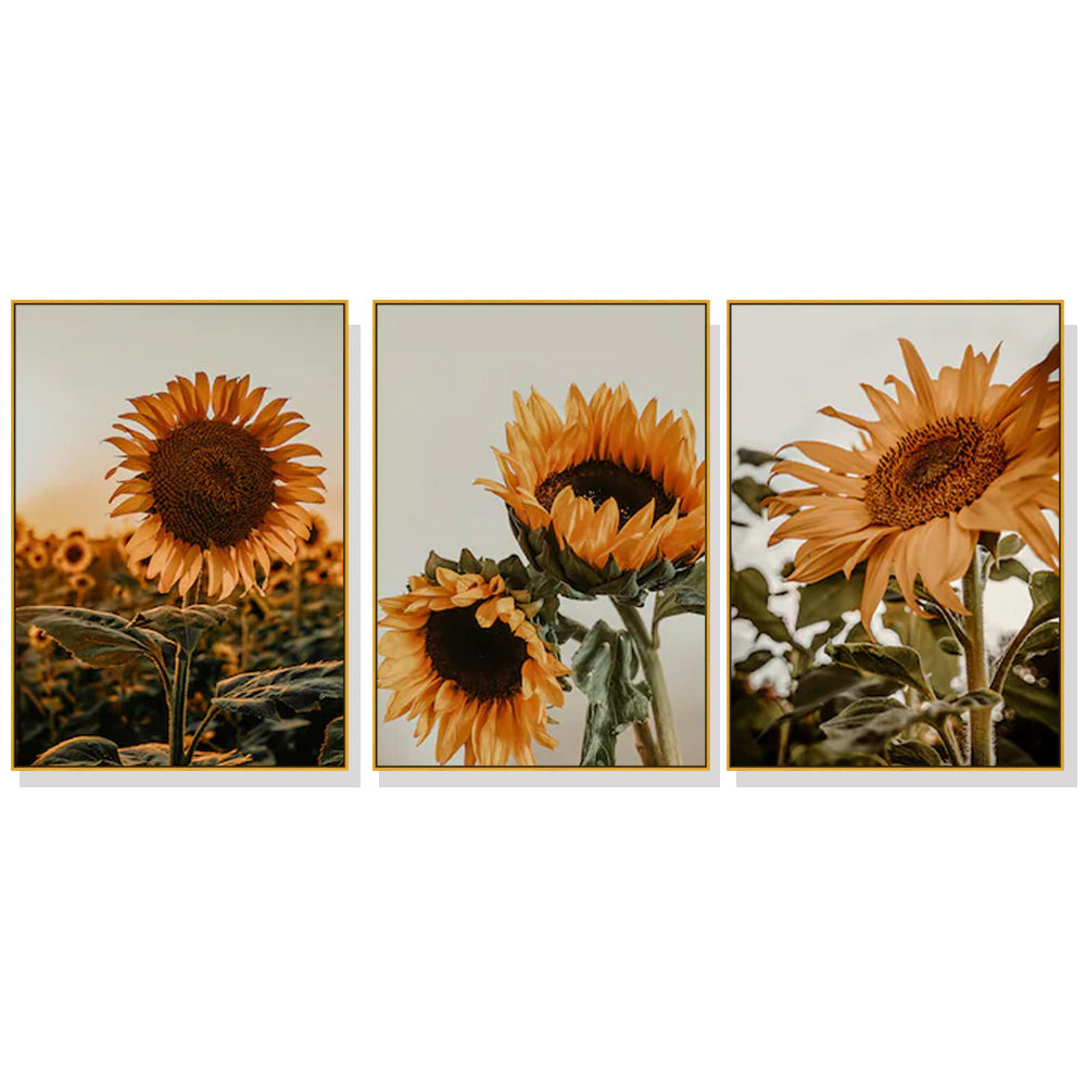 'Helios Annus' Set Of 3 Gold Framed Canvas 80cmx120cm