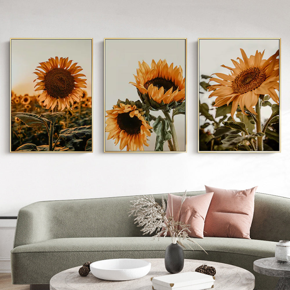 'Helios Annus' Set Of 3 Gold Framed Canvas 50cmx70cm