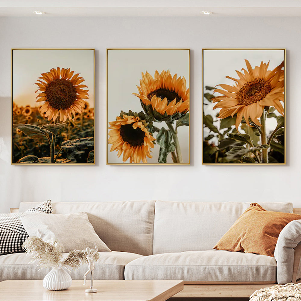 'Helios Annus' Set Of 3 Gold Framed Canvas 50cmx70cm