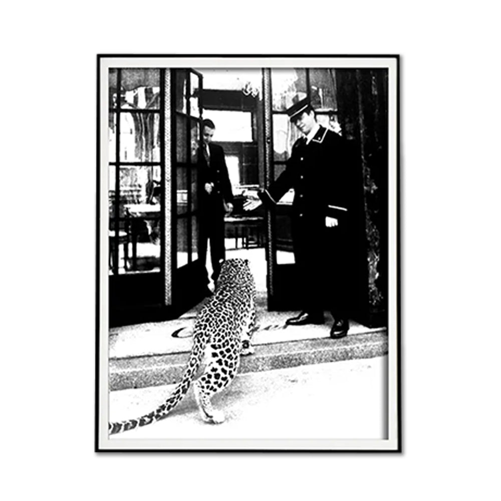 Leopard Spotted What? Black Framed Canvas 100cmx150cm